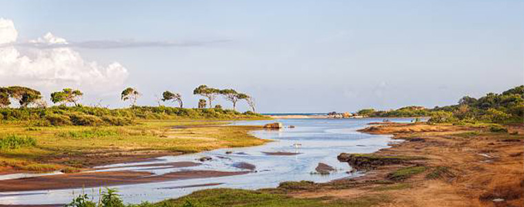 yala-milli-parkı-sri-lanka