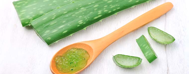 Sivrisinek kaşıntısına karşı aloe vera